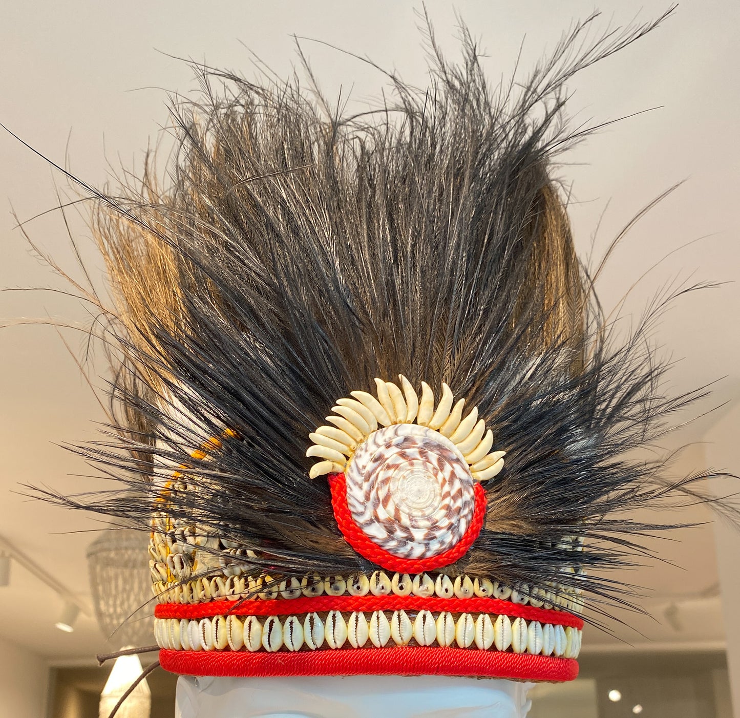 4001 Hoofdtooi papua