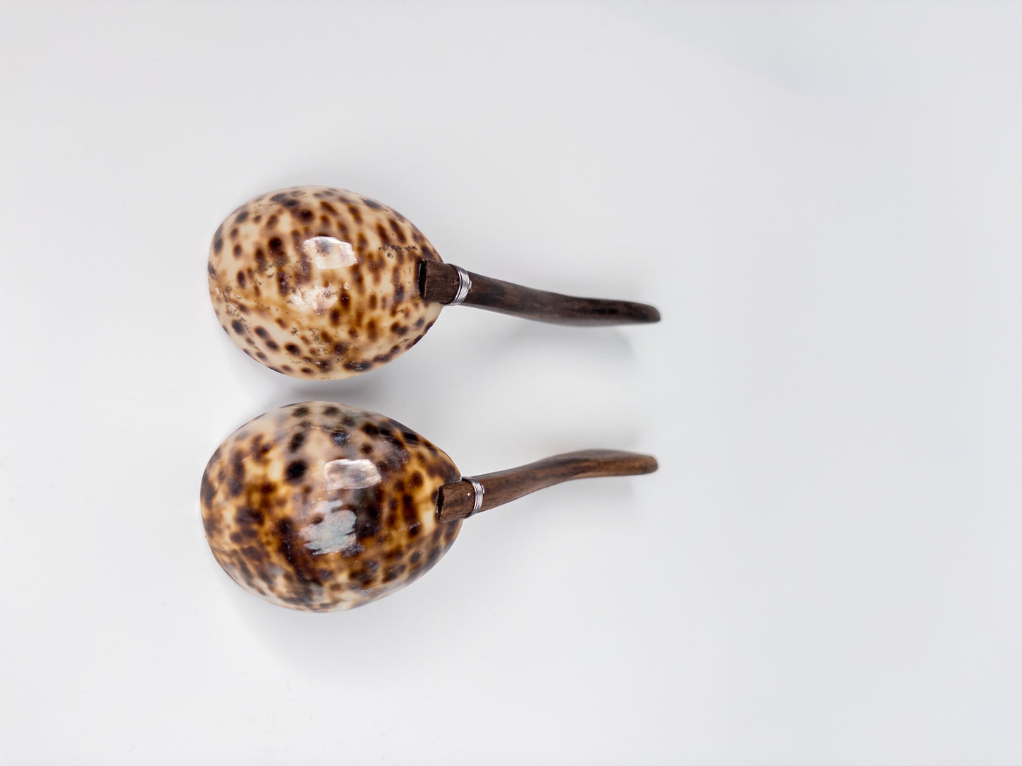 212110 amuse lepeltjes schelp tijgerprint