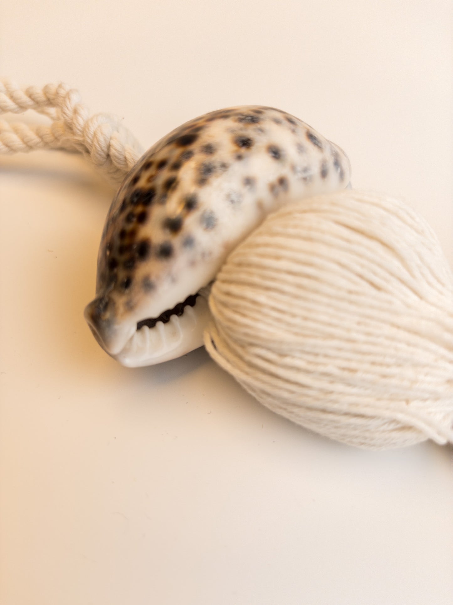 j105 schelp aan wit koord