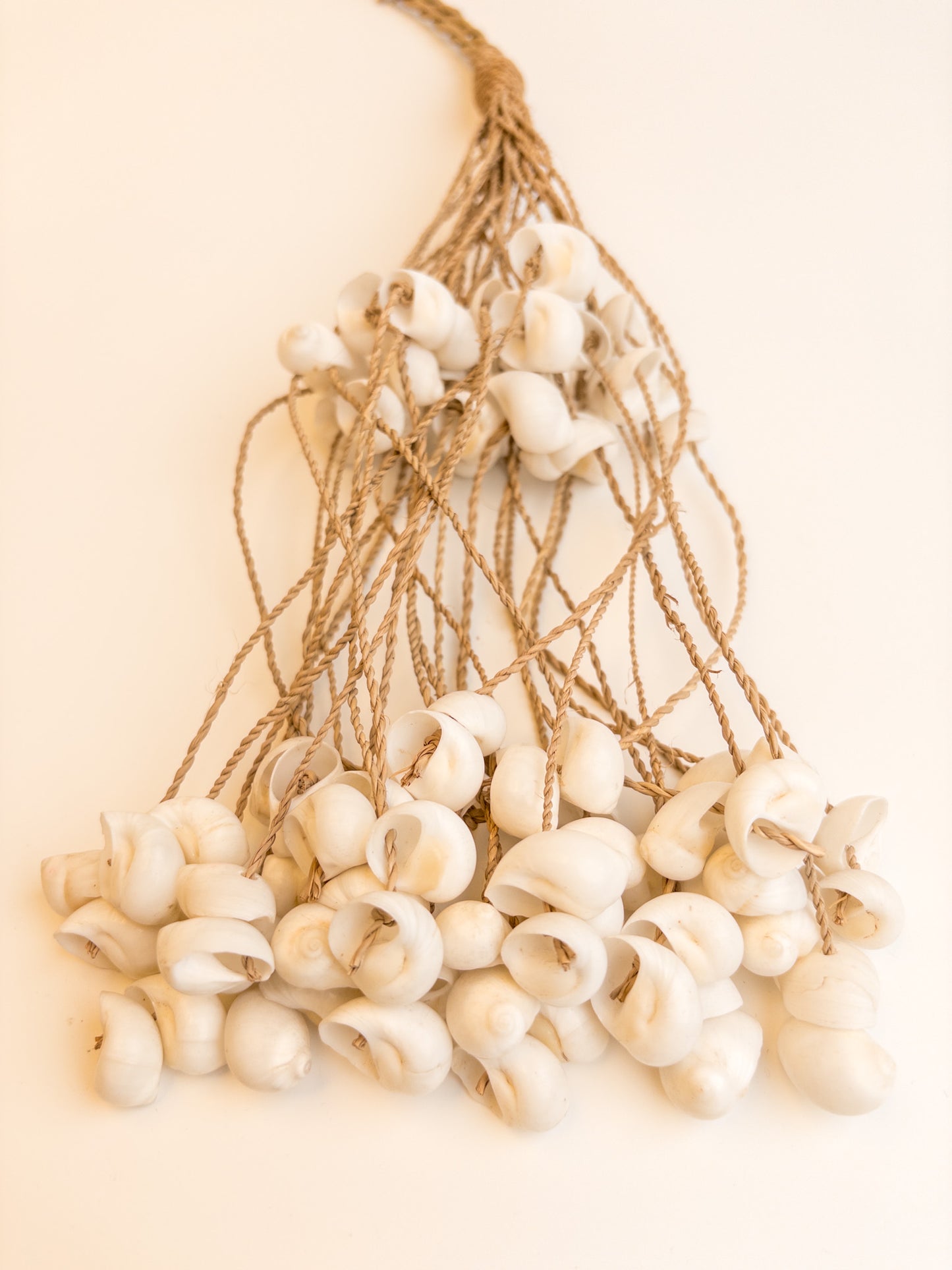 j101 Schelpenhanger twee etages