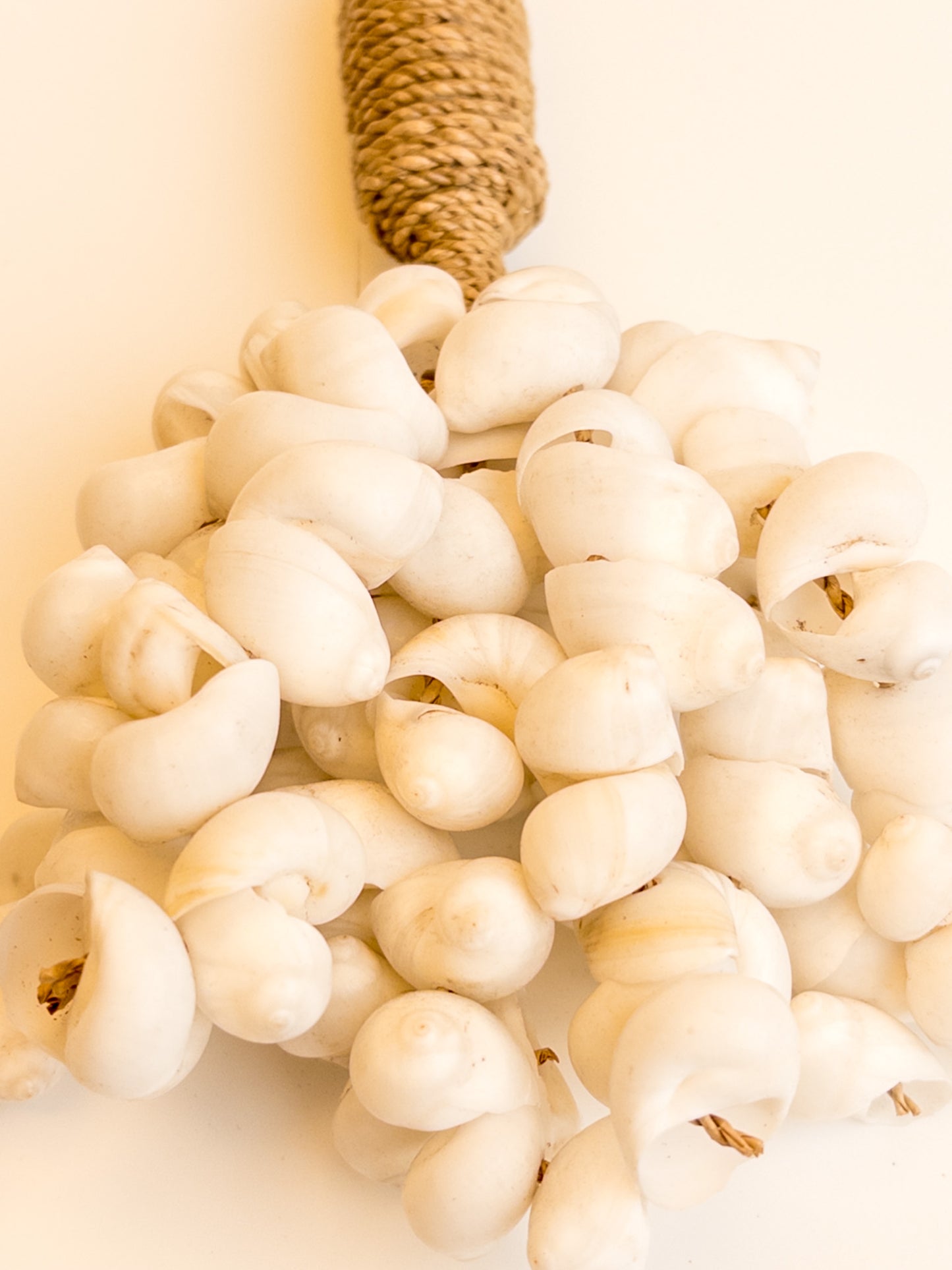 j103 Schelpenhanger 1 etage