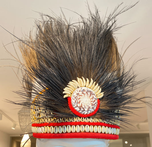 4001  Hoofdtooi papua