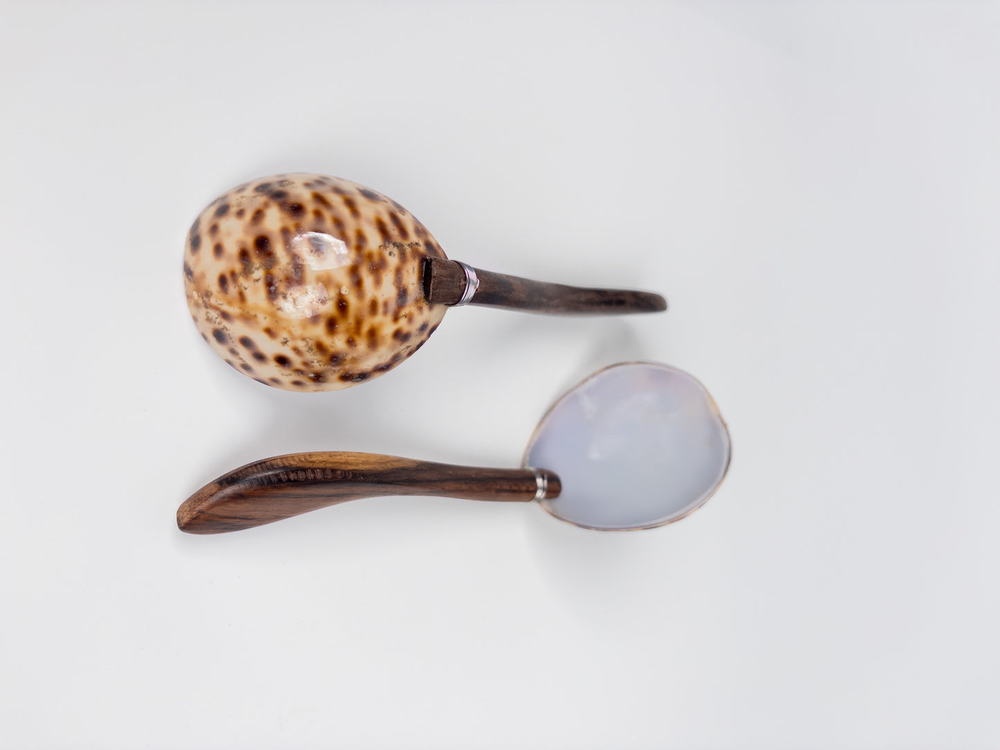 212110		amuse lepeltjes schelp tijgerprint