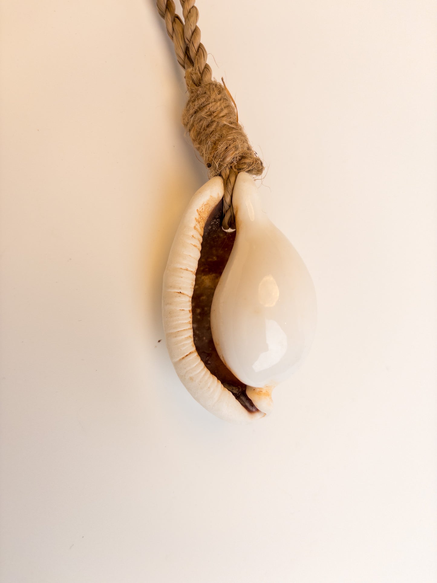 j206		deurhanger grote schelp