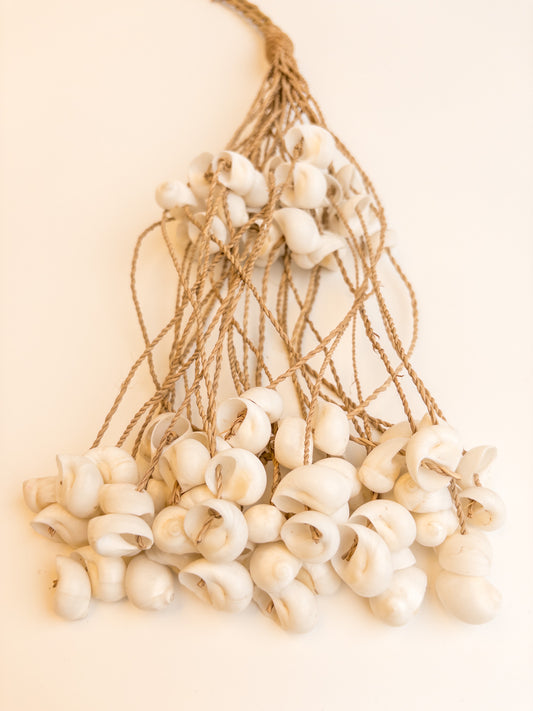 j101		Schelpenhanger twee etages